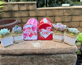 Valentine Mailbox Tin with two 2" Valentine Succulents. Succulent Vday Gift, Galentine's day gift, Valentine Succulent gift, Vday Gift box