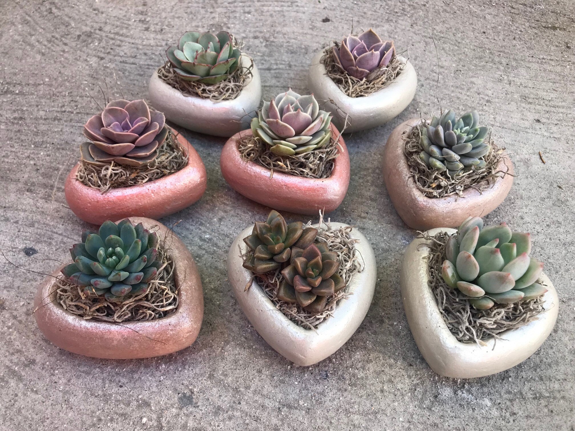 Heart Succulent Planter