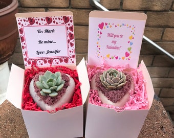 Preorder Mini Heart Planter & Succulent Valentine Gift box. Succulent Valentine's Day gift,Succulent Vday gift, Succulent gift, Gift for her