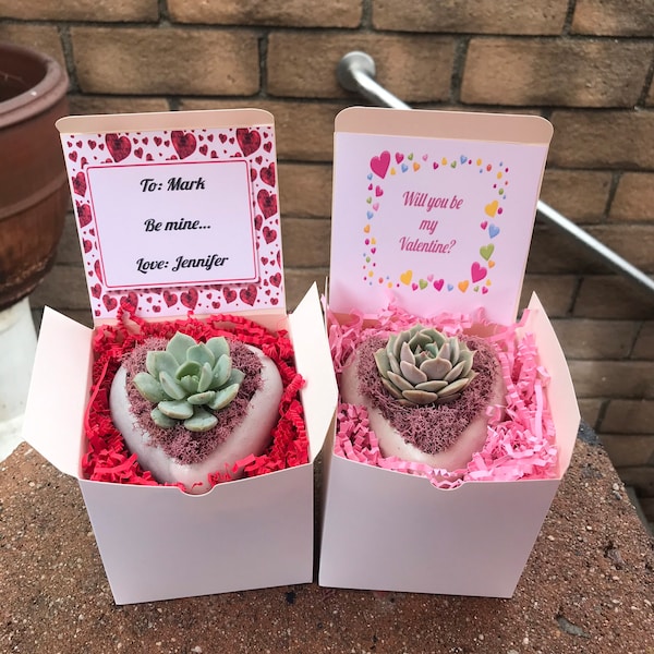 Preorder Mini Heart Planter & Succulent Valentine Gift box. Succulent Valentine's Day gift,Succulent Vday gift, Succulent gift, Gift for her