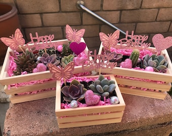 Butterfly Happy Birthday Succulent & Cacti crate set. Succulent Birthday gift, Cacti Birthday gift, Succulent gift box, birthday arrangement