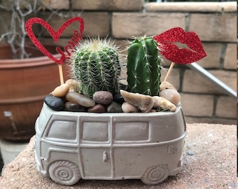 Groovy Rustic Van planted w Live Succulents or Cacti. Unique and Fun Gift, Cacti arrangement, gift for him, for husband, valentine for him