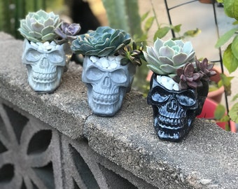 Handcrafted Concrete Skull Planter filled w Vibrant Succulents. Fun & Festive piece perfect for Dia De Los Muertos or Halloween Gift a skull