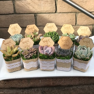 Watch Me Grow Baby shower party favors. 2 Succulent party favors, Succulent baby shower favors, plant party favors, burlap party favors image 9