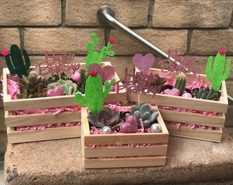 Festive Happy Birthday Succulent & Cacti crate set. Succulent Birthday gift, Cacti Birthday gift, Succulent gift box, birthday arrangement