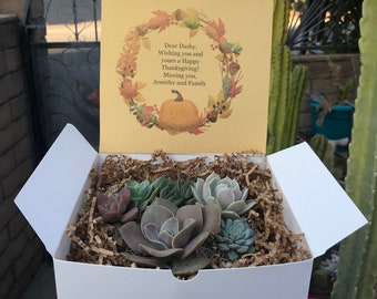 Handmade Heart Pot filled with Fall colored Succulents. Thanksgiving Succulent Arrangement, Succulent Centerpiece, Thanksgiving Gift box