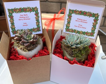 Mini Heart Planter & Succulent Christmas Gift box. Succulent Christmas gift, Succulent Xmas gift, Succulent gift, Christmas arrangement