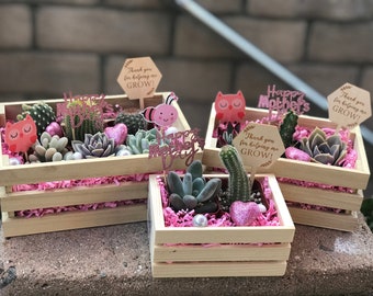 Preorder a festive Mothers Day Succulent & Cacti crate set. Succulent Mother's Day gift, Gift for mom, Gift for her, Cacti Mother's Day gift