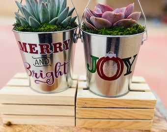 Holiday Succulent arrangement, Christmas succulent gift, Succulent Christmas bucket, Merry Christmas arrangement, Coworker gift, boss gift