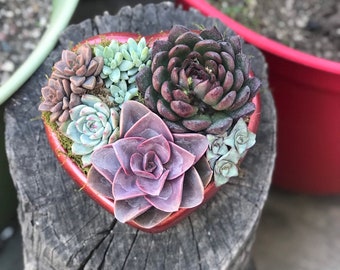 Handcrafted Ruby Red Heart Planter w Arrangement option. Valentine Planter, Red Heart Planter, Valentine's Day gift, Succulent Heart Gift