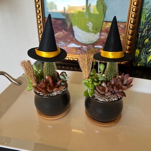 Mini Cauldron Succulent Arrangement: Witchy Halloween Decor