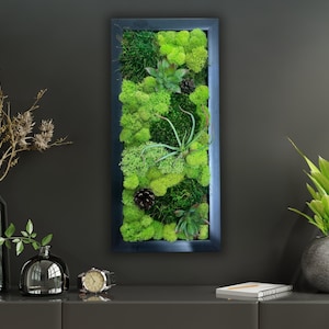May include: A framed moss wall art piece with a black frame and a variety of green moss and plants. The piece is hanging on a dark gray wall above a shelf with a vase of dried branches, a small glass vase, a watch, and a book.