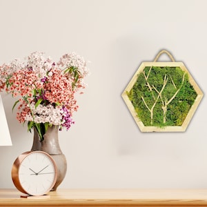 Mini Moss Art: Woodland Hexagon, Preserved Moss Wall Decor