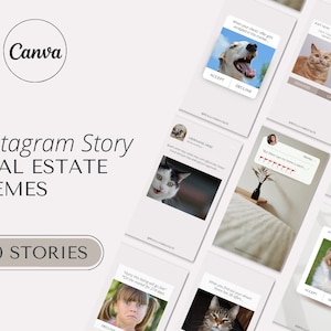 Real Estate Agent Memes for Instagram | Funny Real Estate Quotes | Real Estate Instagram Stories | Realtor Increased Engagement | Marketing