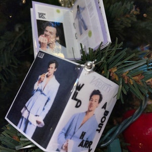 harry earrings (new)!