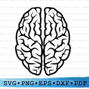 脳のSVG DXF PNG Eps Pdf – Cricut用解剖シルエット、医療用クリップアート、神経科学の装飾、心の研究用印刷可能なベクター