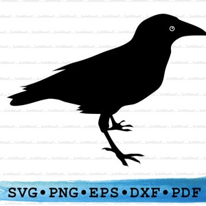 Raven silhouet, Raven Svg, Raven png, Raven Cricut, Bird svg, Bird silhouet, Zwarte vogel, kraai, Aaseter Vogel vector Overzicht DXF EPS pdf