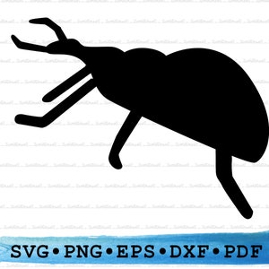 Weevil Silhouette, Insect Svg, Beetle png, Pest Control Cricut, Bug svg, Bug silhouette, Insect, Beetle outline, vector DXF EPS pdf