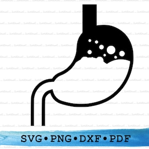 Stomach Silhouette SVG PNG DXF PDf – Human Organ Icon For Cricut Crafts, Anatomy Decor, Medical Labels & Printable Digestive System Clip