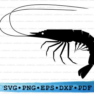 Shrimp Svg Dxf Png Eps Pdf – Seafood Silhouette Cut File Cricut, Prawn Crustacean Clipart, Ocean Animal Vector, Culinary Printable Decor