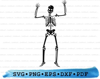 Skeleton Svg Dxf Png Eps Pdf – Human Anatomy Silhouette Cut File Cricut, Halloween Bones Clipart, Spooky Medical Vector, Printable Science