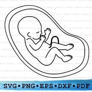 Foetus Svg, Silhouette de foetus, enceinte nouveau-né ventre de bébé Cricut contour Transparent vecteur DXF EPS PDF Png clipart imprimable Decor couper fichier