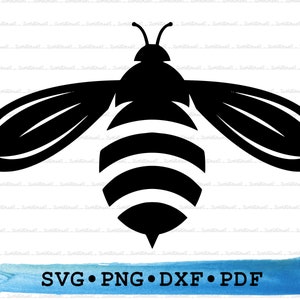 May include: Black and white silhouette of a bee with striped abdomen. The bee is facing forward with wings spread out. The image is on a white background with a blue watercolor stripe at the bottom and the text "SVG • PNG • DXF • PDF" in black.