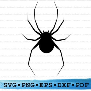 Spider Svg Dxf Png Eps Pdf – Halloween Insect Silhouette Cut File Cricut, Creepy Bug Clipart, Long Leg Vector, Scary Animal Printable Decor