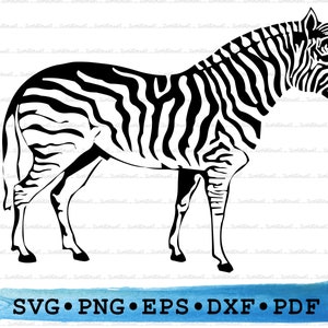 Zebra Svg Dxf Png Eps Pdf – Safari Animal Silhouette Cut File Cricut, African Wildlife Clipart, Zoo Nature Vector, Printable Jungle Decor
