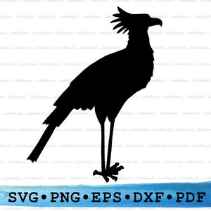 Secretário Bird Svg, Secretário Bird Silhouette, Cricut Transparent Outline Vector DXF EPS PDF Png clipart imprimível Decor Cut File