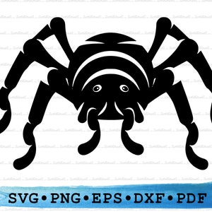 Tarantula Svg Dxf Png Eps Pdf – Spider Insect Silhouette Cut File Cricut, Halloween Creepy Clipart, Spooky Bug Vector, Printable Scary Decor