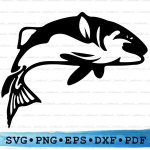 vis Svg, snoekbaarzen svg, vis png, vis gesneden bestanden cricut, kunst aan de muur vis, vis silhouet, vissen, clipart snijden ontwerp PNG DXF EPS pdf