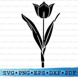 Tulip Svg Dxf Png Eps Pdf – Spring Flower Silhouette Cut File Cricut, Botanical Garden Clipart, Floral Nature Vector Wedding Printable Decor