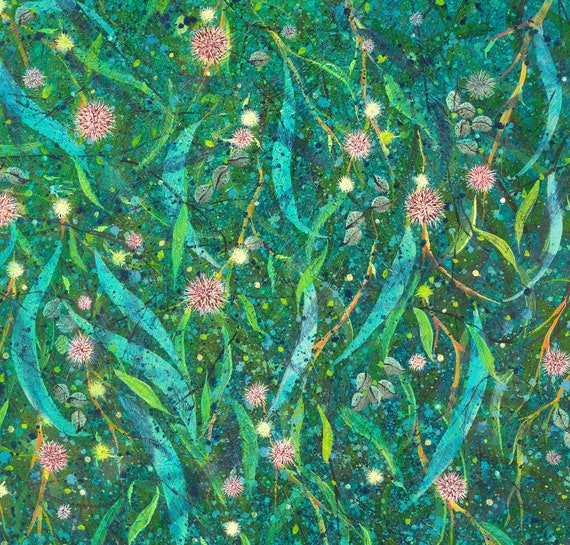 Card Set Hakea Laurina Pincushion Gum Etsy