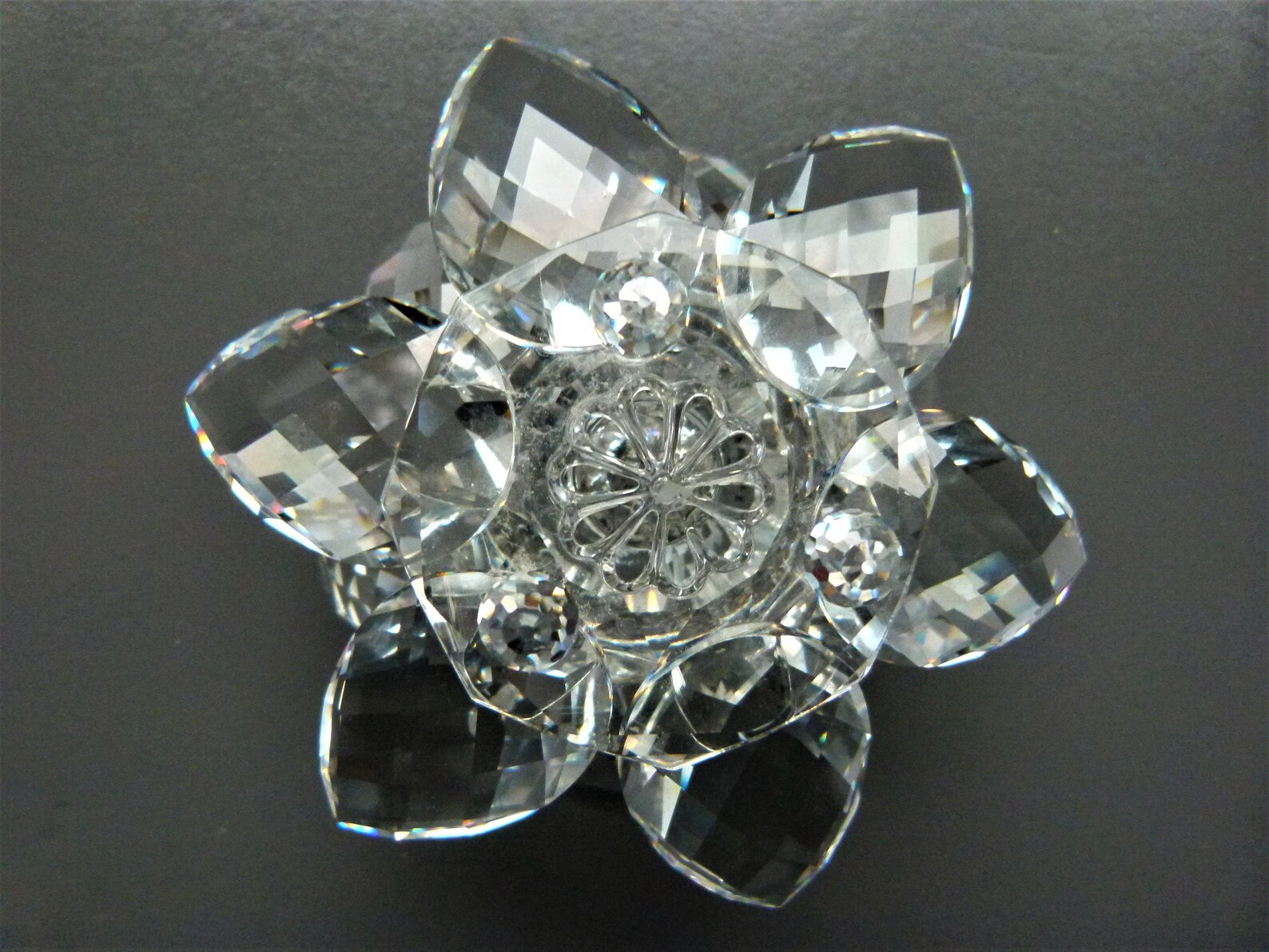 Swarovski Crystal Medium Water Lily En boîte Etsy