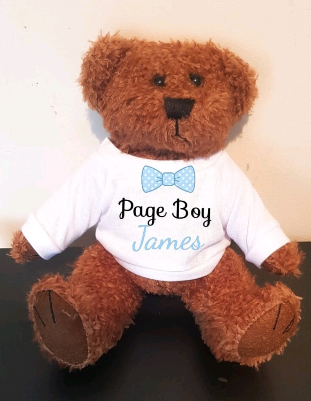 pageboy teddy