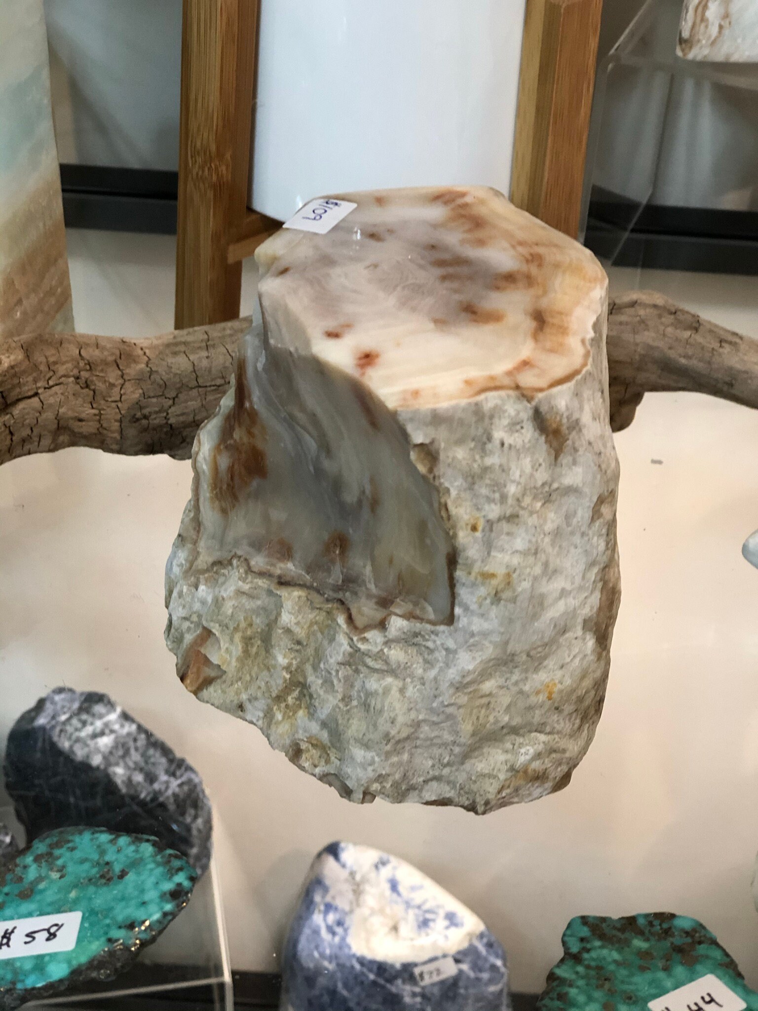 Petrified Wood Metaphysical Healing Etsy