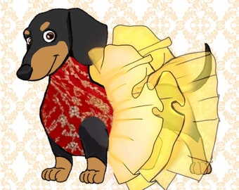 Indian pet outfit~Custom pet apparel~Pet outfit weddings~made to match~desi outfits for pets~puppy lehenga~cat lehenga~pets lehenga outfits