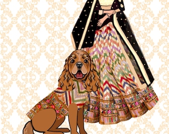 May include: A woman wearing a black and gold embroidered dress with a matching shawl, standing next to a brown and white dog wearing a colourful patterned outfit.