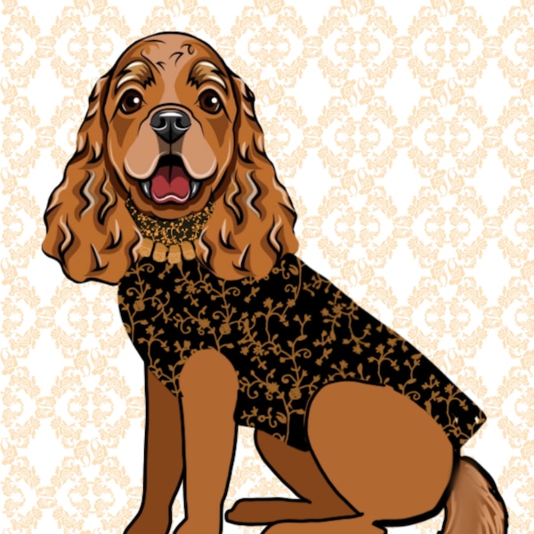 Ethnic pet clothing~pet outfit for weddings~dog sherwani~cat sherwani~brocade pets sherwani~pets sherwani~black pets sherwani~pets clothing