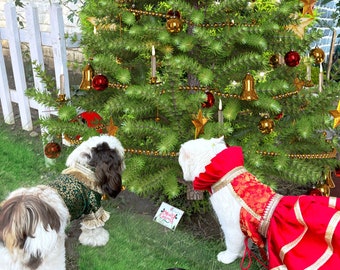 May include: Two dogs wearing festive outfits stand in front of a Christmas tree decorated with baubles and lights. The dog on the left is wearing a green and gold outfit, while the dog on the right is wearing a red and gold outfit. The text "Merry Christmas" is visible on a card in the foreground.
