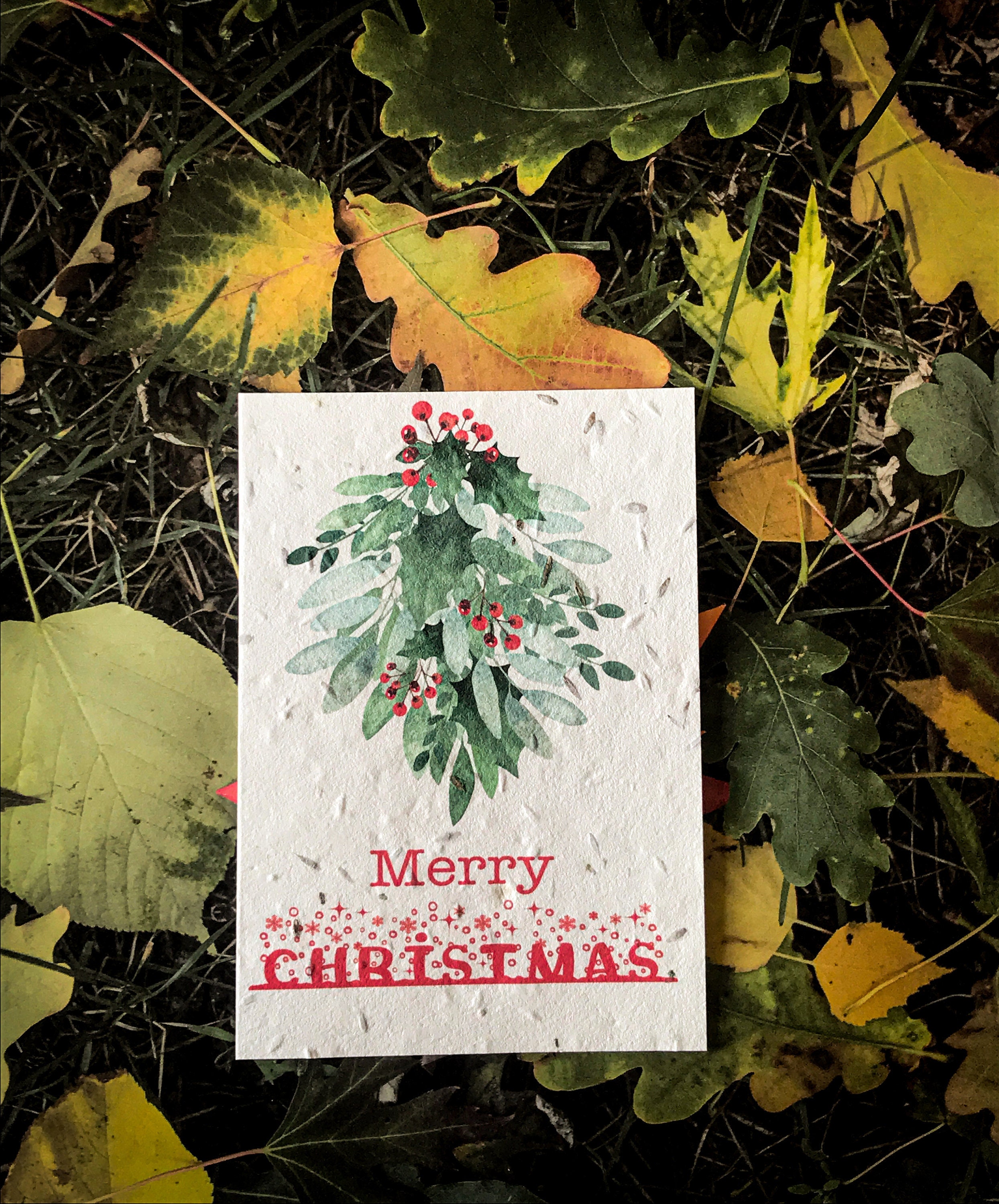 5 Plantable Wildflower seed charity Christmas Cards Merry Etsy