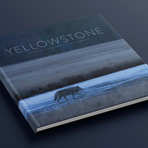 Yellowstone: Wildlife Photography by Trent Sizemore - Coffee Table Book