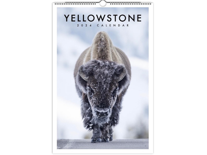 2024 Yellowstone Wildlife Calendar Etsy