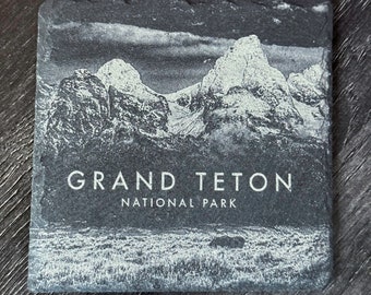 Wildlife Coasters - Teton Range Moose - Grand Teton National Park