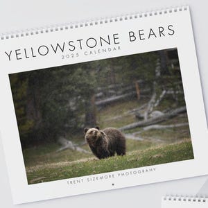 Calendario degli orsi di Yellowstone 2025 - Fotografie della fauna selvatica di orsi grizzly e neri di Trent Sizemore