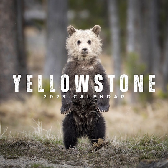 2023 Yellowstone National Park Wildlife Photography Calendar Etsy