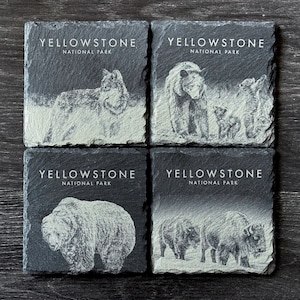 Wildlife Coasters Yellowstone Pack Set of 4/6/8 Square Set of 4