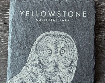 Wildlife Coasters - Great Gray Owl