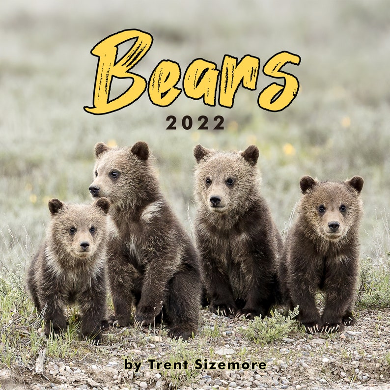 Three Pack One of Each 2022 Wildlife Photography Calendar | Etsy